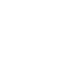 case_white